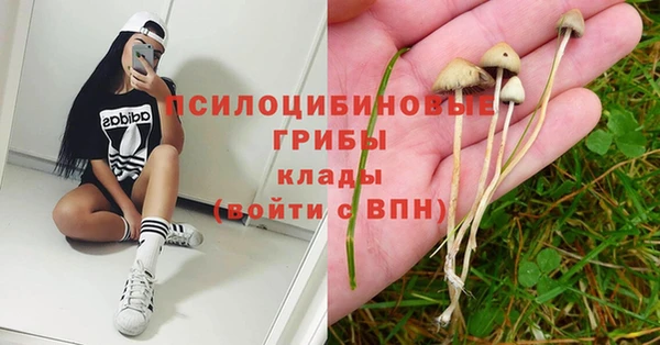 дживик Балахна